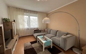Gemuetlich Eingerichtete 2-Zimmer Wohnung In Duisburg Meiderich